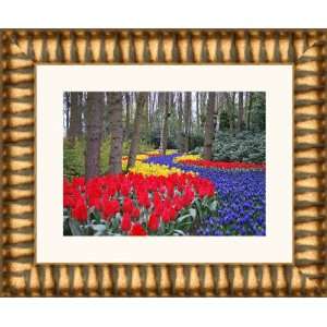  Picture Frame Gold w/ Red  2.5 wide