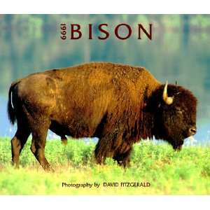 Bison [Calendar]