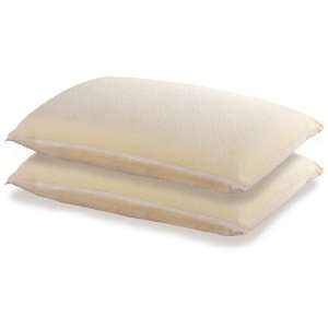  2 Molded Memory Foam Bed Pillows