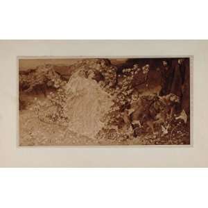  1901 Venus and Anchises Lions Sir W. B. Richmond Print 