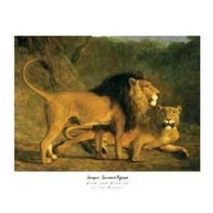  Lion and Lioness At the Exeter   Poster by Jacques lauren 