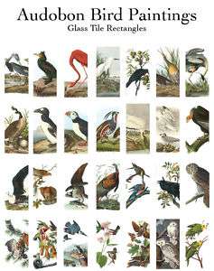 AUDUBON BIRDS PAINTING Collage Sheet Domino ART IMAGES  