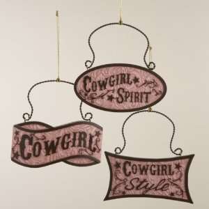  Club Pack of 12 Pink and Brown Cowgirl Plaque Christmas 