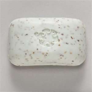  Essence Loofa Mint Hand Soap (12 Count) 5 Ounces Beauty