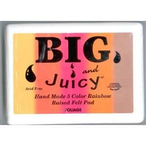  Big & Juicy Rainbow Dye Inkpad 5 Colors Foliage