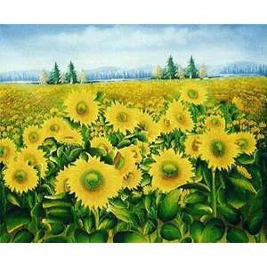  Fine Oil Painting, Flower SF07 30x40