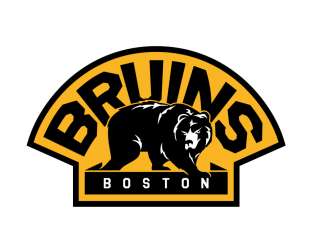 Boston Bruins NHL Hockey Car Bumper Sticker 5X4  