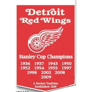 Detroit Red Wings 2009 Stanley Cup Champions Commemorative Dynasty 