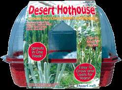 Dune Craft HOTHOUSE Indoor House Plant Cactus Terrarium  