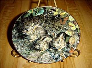 Our Woodland Friends SHY EXPLORERS Rabbit BUNNY Carl Brenders Plate 