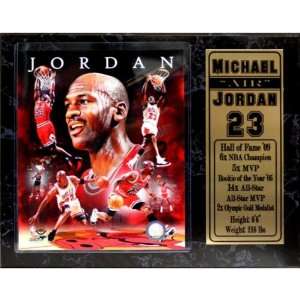  Michael Jordan 12X15 Stat Plaque Case Pack 14 Sports 