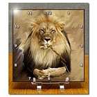 3dRose LLC Wild animals   Lion   Desk Clocks