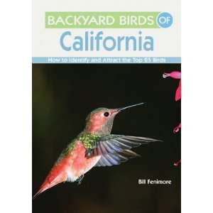  New Gibbs Smith Publisher Backyard Birds Of California 