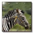 3dRose LLC Wild animals   Zebra   Wall Clocks