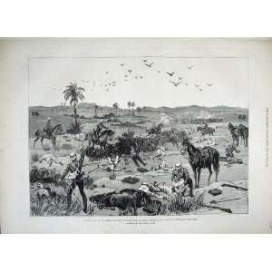   War Egypt Dead Wounded Battle Kassassin Horses Art