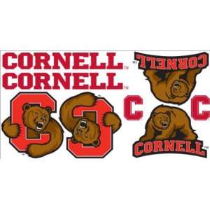 NCAA Cornell Big Red Skinit Car Decals 