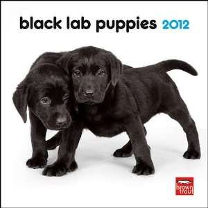  Black Lab Puppies 2012 Mini Wall Calendar