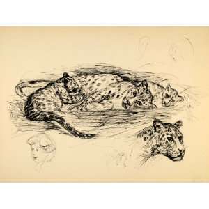 com 1944 Print Artist Ernst Denzler Spotted Leopard Wildlife Drawing 