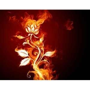  Fire Rose   Peel and Stick Wall Decal by Wallmonkeys