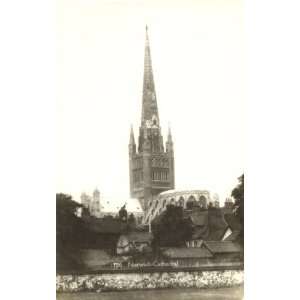   Vintage Postcard Norwich Cathedral Norwich England UK 