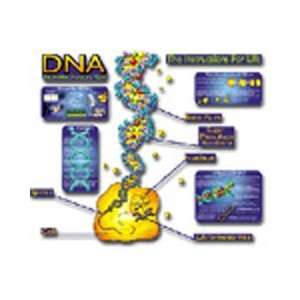  DNA Bulletin Board Set Toys & Games