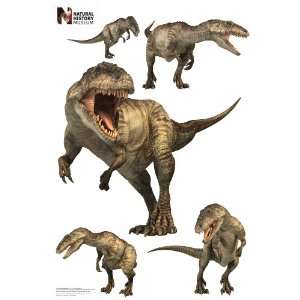  Giganotosaurus Layout Walljammer Toys & Games