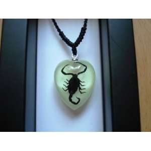  Black Scorpion Necklace/Sm Arts, Crafts & Sewing