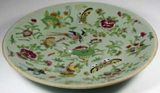 CHINESE PORCELAIN CELADON GROUNDFAMILLE ROSE PLATE,19TH  