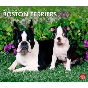  Boston Terriers 2012 Deluxe Wall Calendar