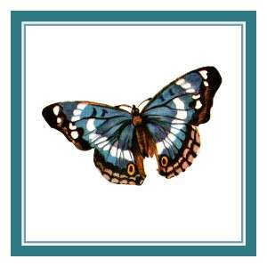 Colorful Sky Blue Tan Butterfly Counted Cross Stitch Chart  