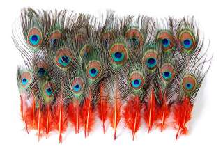25 Pcs MINI PEACOCK Feathers ORANGE 2 9 Pads/Trim/Hats  
