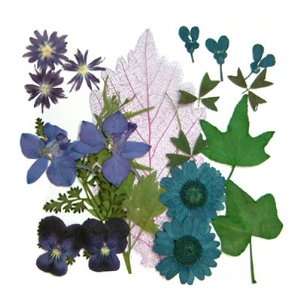 Gepresste Blumen, Blume gemischt Packs. Kunst & Handwerk Materialien 