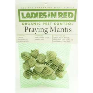 LADIES IN RED Twenty (20) Praying Mantis Egg Cases for Organic Control 