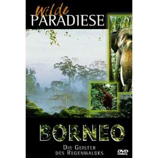 Wilde Paradiese   Borneo Die Geister des Regenwaldes  