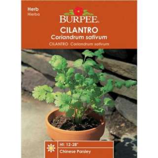 Burpee Cilantro Seed 65839  