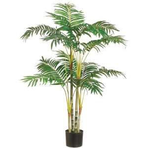 Areca Palm Tree X14 in Plastic Pot Green (Pack of 2)  