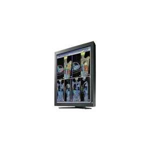  Eizo RadiForce RX211 LCD Monitor   21.3   1600 x 1200 