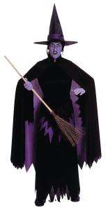 Wizard Of Oz Wicked Witch Of The West Adult Costume   Groups & Themes