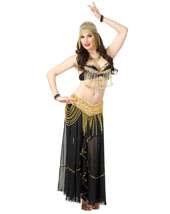 In Stock Sexy Womens Belly Dancer Costume Promo Price $67.99 Our Low 