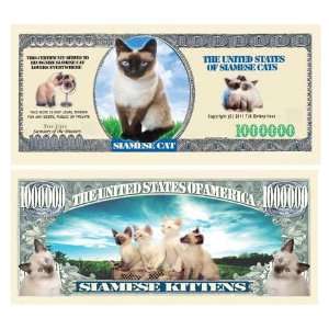  Siamese Cat Million Dollar Bill 