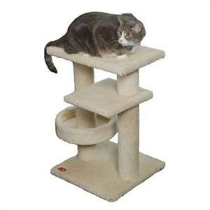  Paus 93250   X Activity Cat Gym Color Sage