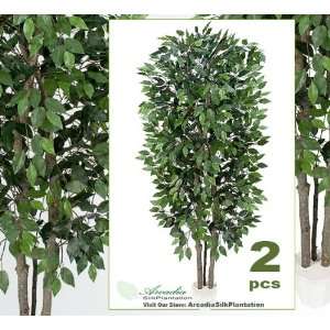   Ficus Real Wood Trunks Artificial Trees Silk Plants