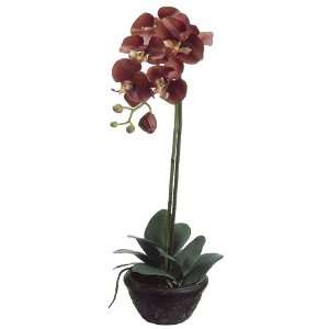   Potted Artificial Cinnamon Phalaenopsis Orchid Silk Flower Plants 22