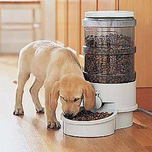  Automatic Pet Feeder   LARGE (Dogs and Pigs over 40 lbs 