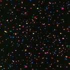 Confetti Basic from RJR Fabrics 5214 42 (Black Backgro