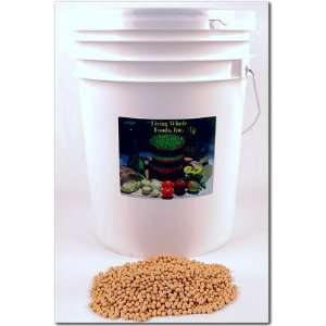  Organic Soybeans   Whole Soy Bean Seed / Seeds   35 Lbs 