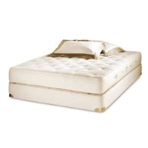   Tufted Top Latex Mattress and Box Spring Set   Queen