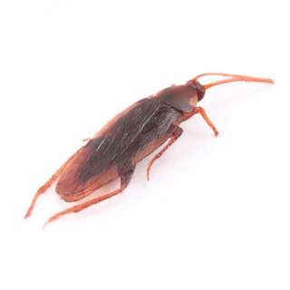 20 pcs Biologic Cockroach Bait Trap Pest Control New  