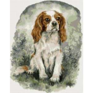   Cavalier King Charles Dog Counted Cross Stitch Kit 
