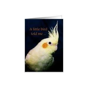  Yellow Cockatiel Bird Birthday Card Card Health 